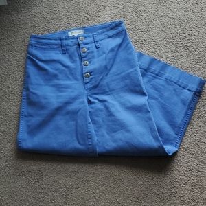 Madewell Blue Cotton Flare Pants